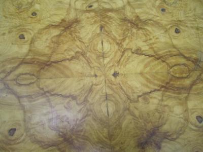 Milo Baughman Milo Baughman style Lucite and Olive Ash Burl Side End Table Mid century Modern