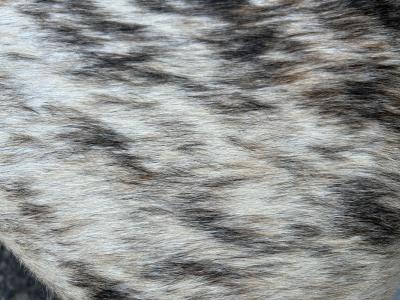 Milo Baughman Stunning Milo Baughman style Modern Cowhide Thick Slab Lucite Bench