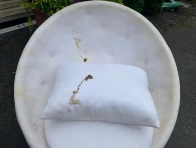 Milo Baughman Stunning Pair Egg Swivel Chair by Milo Baughman for Thayer Coggin