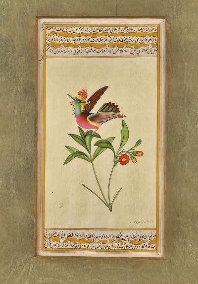 Miniature of Hummingbird India circa 1870