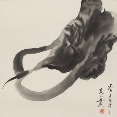 Minol Araki Chinese Cabbage 1978