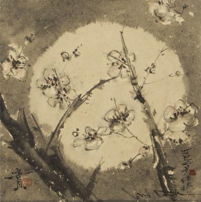 Minol Araki Flowering Plum Branches