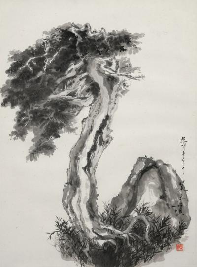 Minol Araki Pine Tree by Rock 1978