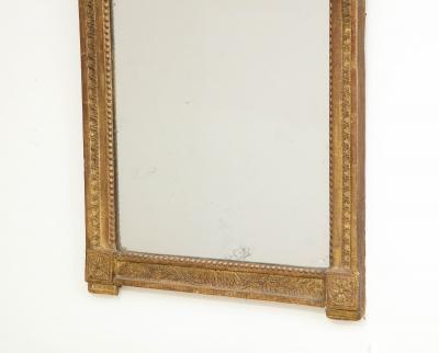 Mirror with lovebird crown