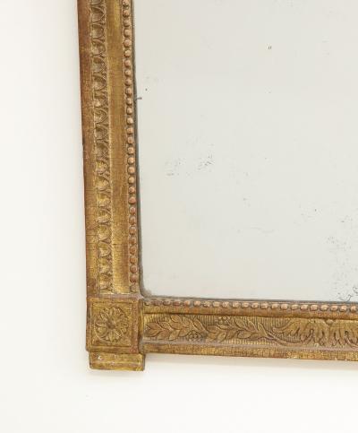 Mirror with lovebird crown