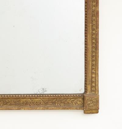 Mirror with lovebird crown