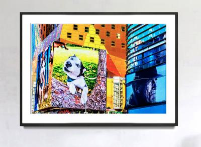 Mitchell Funk All American Favorites Husky Dogs and Clint Eastwood in Times Square