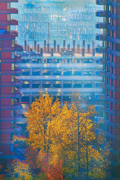 Mitchell Funk Autumn Colors in New York City as Orange Trees Squeeze into the Skyline
