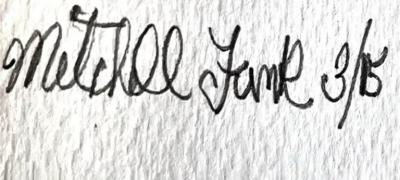 Mitchell Funk Autumn Colors in New York City as Orange Trees Squeeze into the Skyline