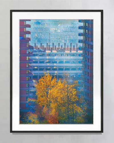 Mitchell Funk Autumn Colors in New York City as Orange Trees Squeeze into the Skyline