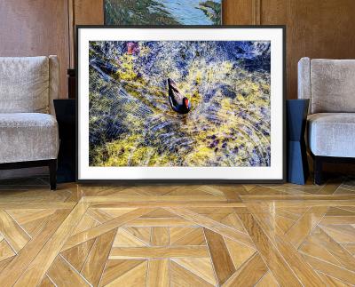 Mitchell Funk Beautiful Nature Colorful Duck Swims in a Pond of Blue and Yellow 