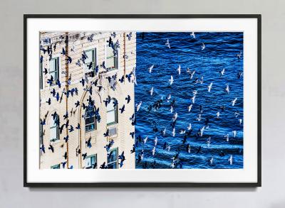 Mitchell Funk Birds in Flight over Manhattan Minimalist Photography