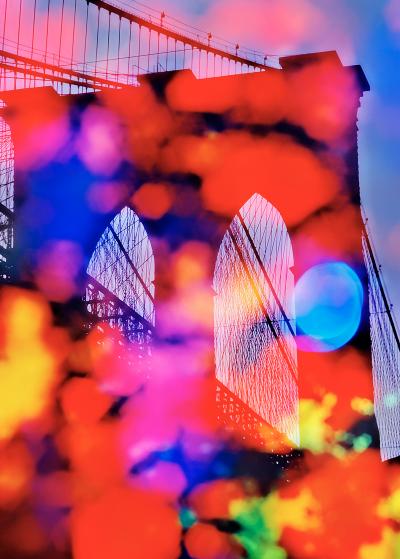 Mitchell Funk Brooklyn Bridge Abstraction with Romantic Out of Focus Floral Colors