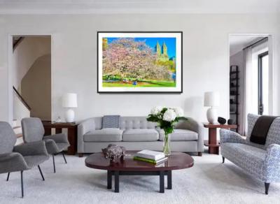 Mitchell Funk Cherry Blossoms in Bloom Urban Garden of Central Park with The San Remo