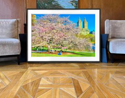 Mitchell Funk Cherry Blossoms in Bloom Urban Garden of Central Park with The San Remo