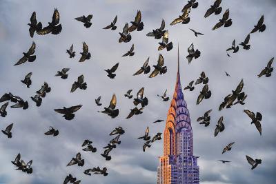 Mitchell Funk Chrysler Building with Flock of Birds Thrusting to the Sky Hahnemuhle Print