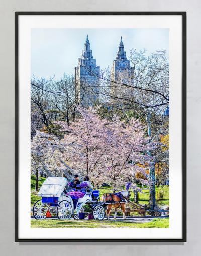 Mitchell Funk Classic Old New York Vintage Central Park