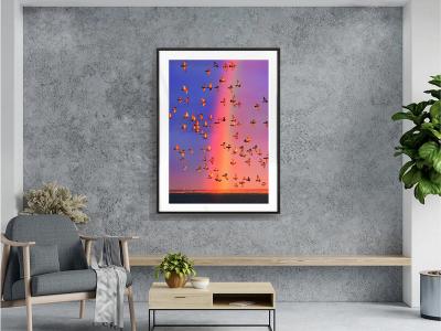 Mitchell Funk Colorful Rainbow with Flock of Birds in East Hampton Symbolic of Togetherness