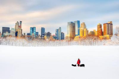 Mitchell Funk Dog Walker in Central Park Snow