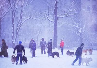 Mitchell Funk Dogs in Snow Storm Madison Square New York City
