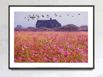 Mitchell Funk East Hampton Landscape with Field of Pink Flowers and Migrating Birds