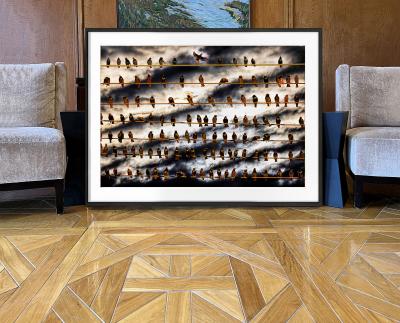 Mitchell Funk Flock of Birds on Wire Against Dramatic Sky Dramatic Clouds