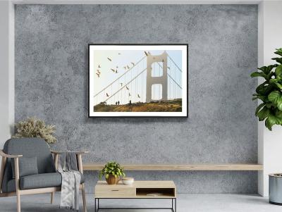 Mitchell Funk Golden Gate Bridge with Birds in Monochrome San Francisco