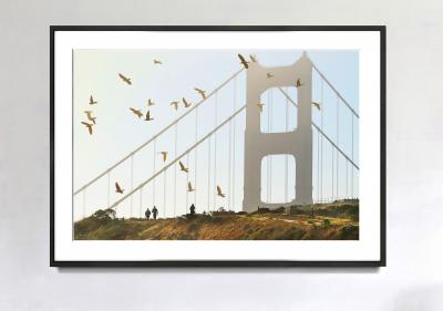 Mitchell Funk Golden Gate Bridge with Birds in Monochrome San Francisco