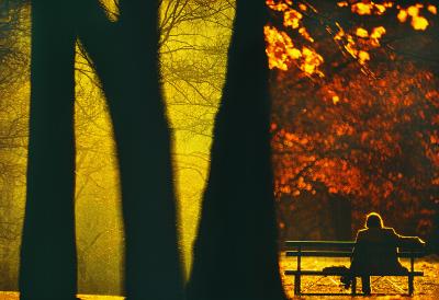 Mitchell Funk Golden Light on Solitary Figure in Central Park