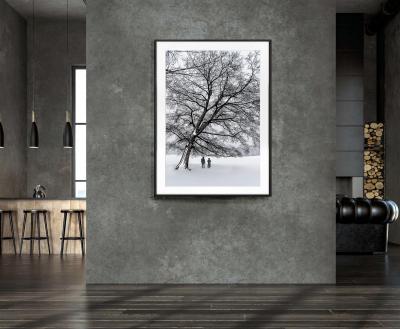 Mitchell Funk Leafless Tree Monochromatic Winter Snow Scene in Central Park in Cool Greys