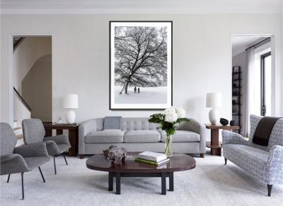 Mitchell Funk Leafless Tree Monochromatic Winter Snow Scene in Central Park in Cool Greys