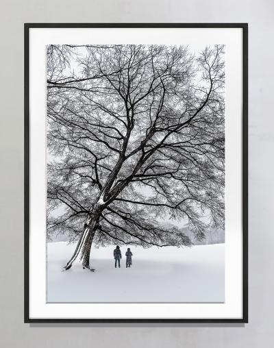 Mitchell Funk Leafless Tree Monochromatic Winter Snow Scene in Central Park in Cool Greys