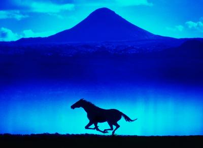 Mitchell Funk Solitary Running Horse Silhouetted against Blue Mountain