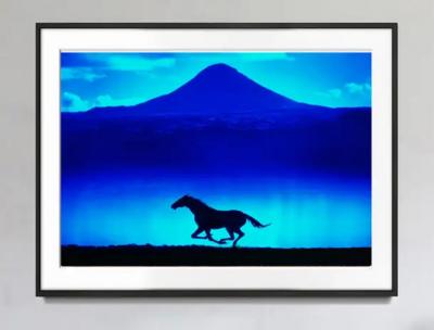Mitchell Funk Solitary Running Horse Silhouetted against Blue Mountain