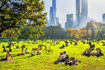 Mitchell Funk Sun Bathers Central Park Sheep Meadow with Golden Light