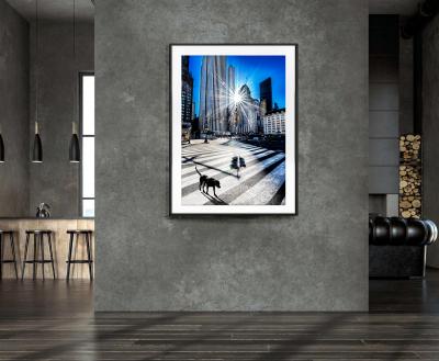 Mitchell Funk Surreal Black Dog Central Park with Raking Light Street Photography Literally