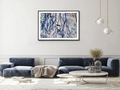 Mitchell Funk The Dogs of New York