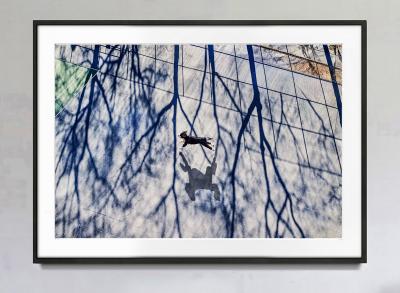 Mitchell Funk The Dogs of New York