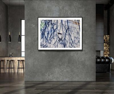 Mitchell Funk The Dogs of New York