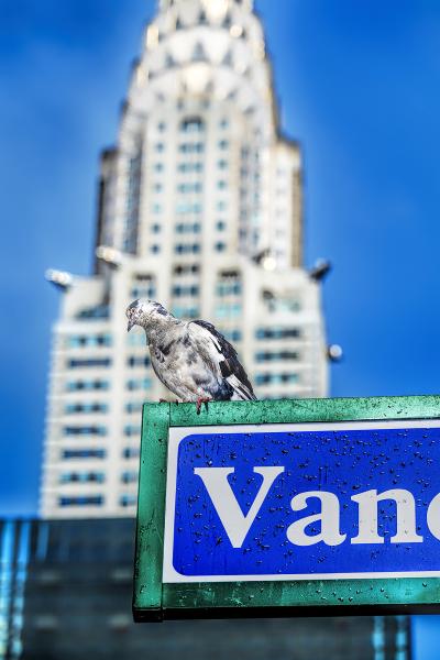 Mitchell Funk The Pigeon and The Chrysler Building