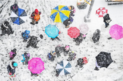 Mitchell Funk Umbrellas in the Snow