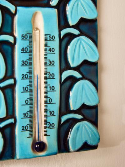 Mithe Espelt Mith Espelt Ceramic Wall Thermometer with Blue Bird Motif