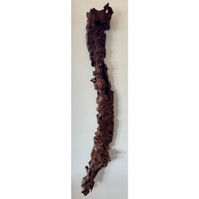 Modern Art Polished Driftwood Sculpture
