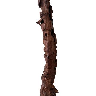 Modern Art Polished Driftwood Sculpture