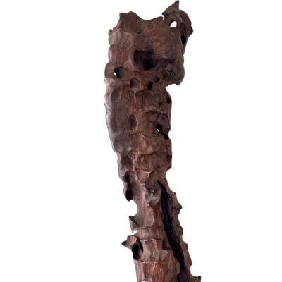 Modern Art Polished Driftwood Sculpture