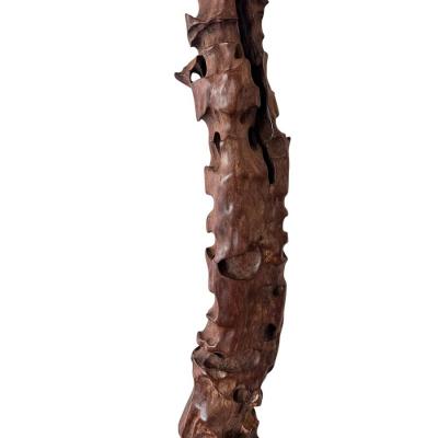 Modern Art Polished Driftwood Sculpture
