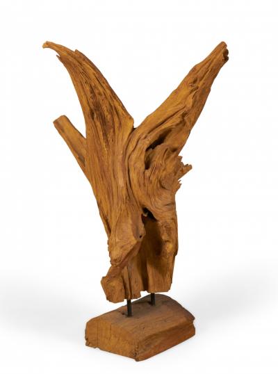 Modern Asian Teak Tree Root Sculpture