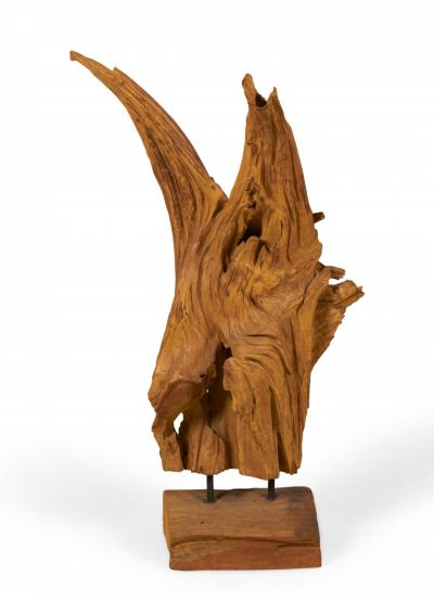 Modern Asian Teak Tree Root Sculpture