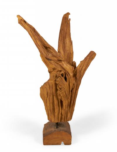 Modern Asian Teak Tree Root Sculpture