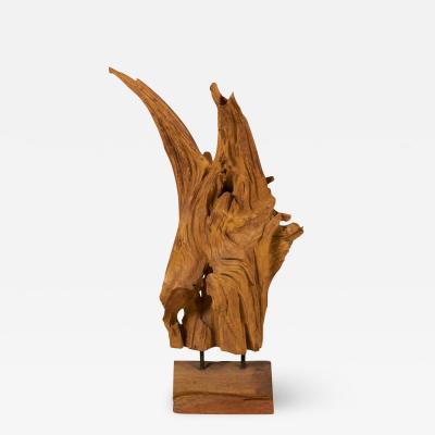 Modern Asian Teak Tree Root Sculpture